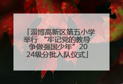 淄博高新区第五小学举行 “牢记党的教导 争做强国少年”2024级分批入队仪式